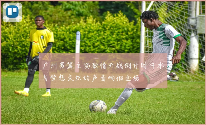 广州男篮主场激情开战倒计时汗水与梦想交织的声音响彻全场