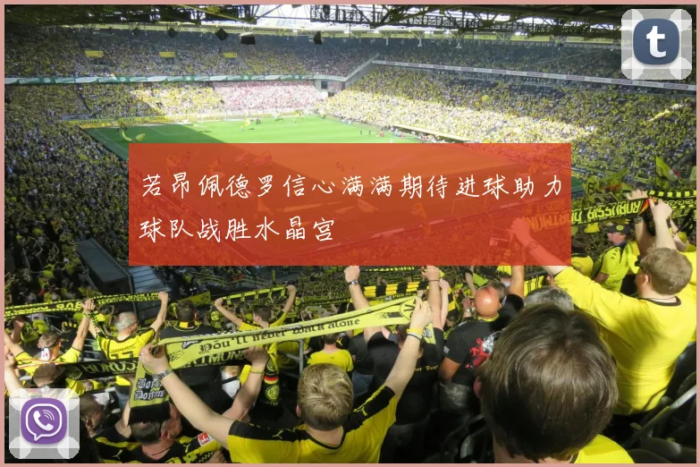 若昂佩德罗信心满满期待进球助力球队战胜水晶宫