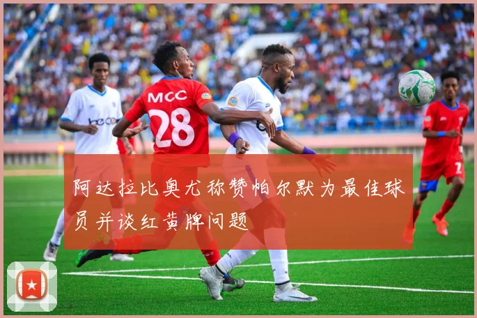 阿达拉比奥尤称赞帕尔默为最佳球员并谈红黄牌问题