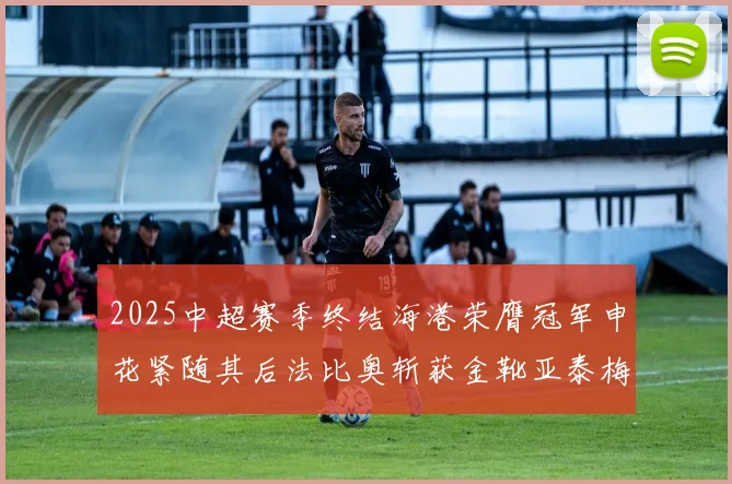 2025中超赛季终结海港荣膺冠军申花紧随其后法比奥斩获金靴亚泰梅州遗憾降级