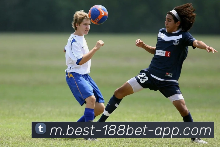 App Interface Preview